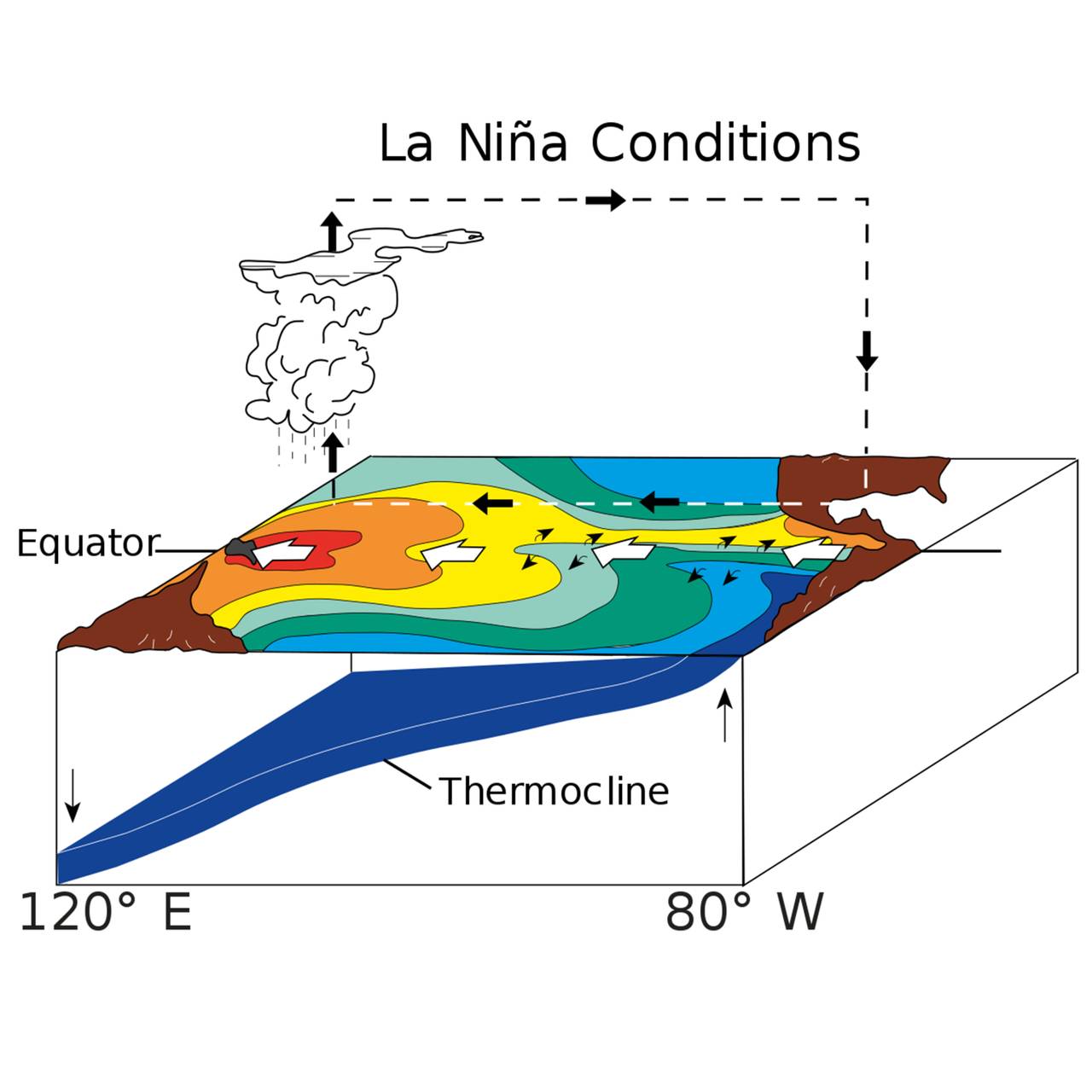 La Niña (kvadratisk)