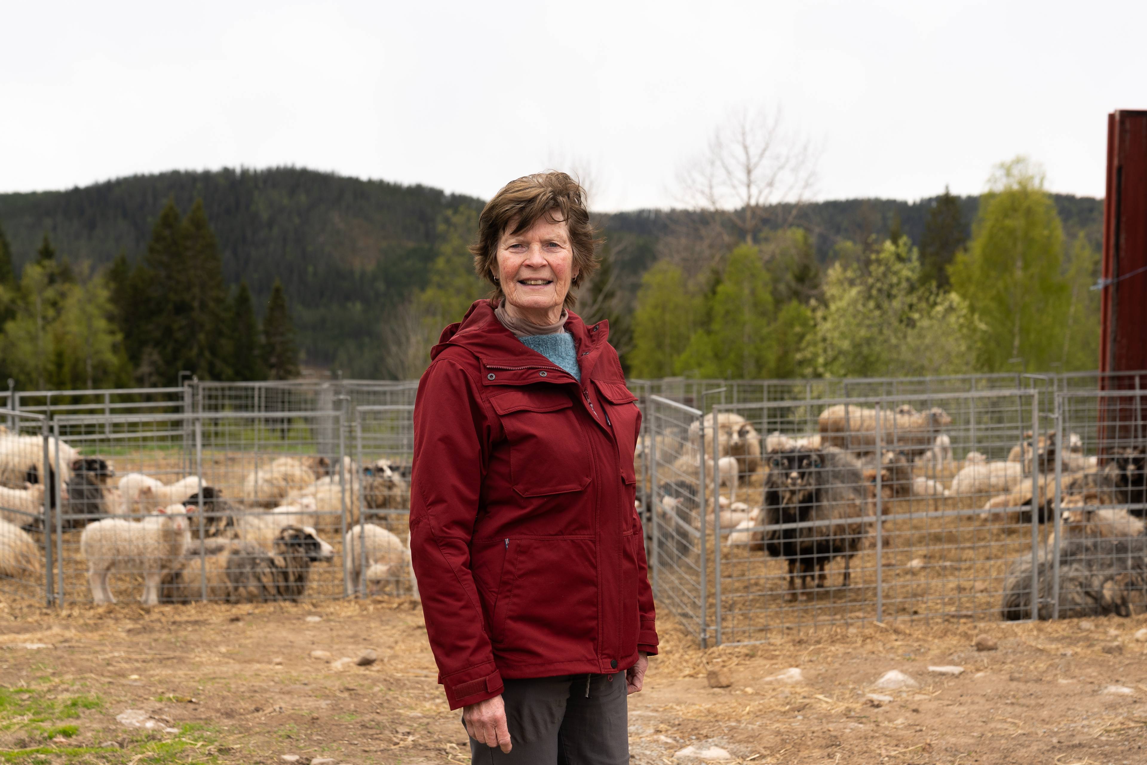 en kvinne i rød jakke som står foran en flokk med sauer i skogen