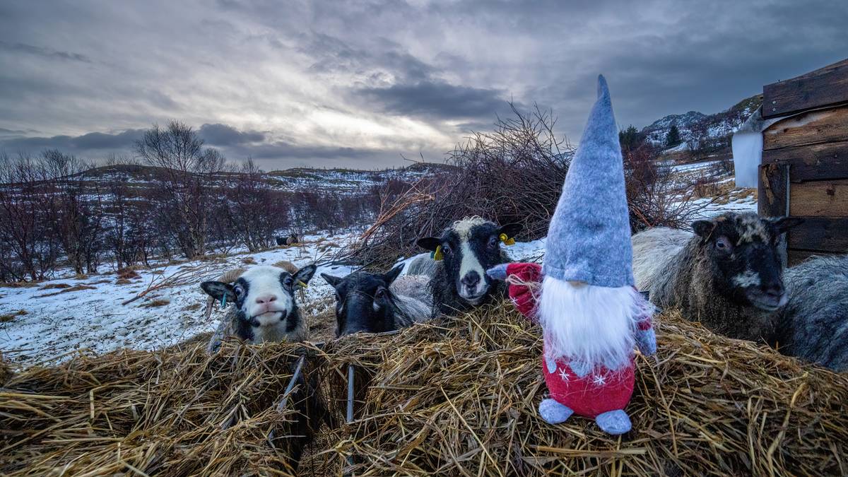 Væråret 2025: Flere historiske rekorder