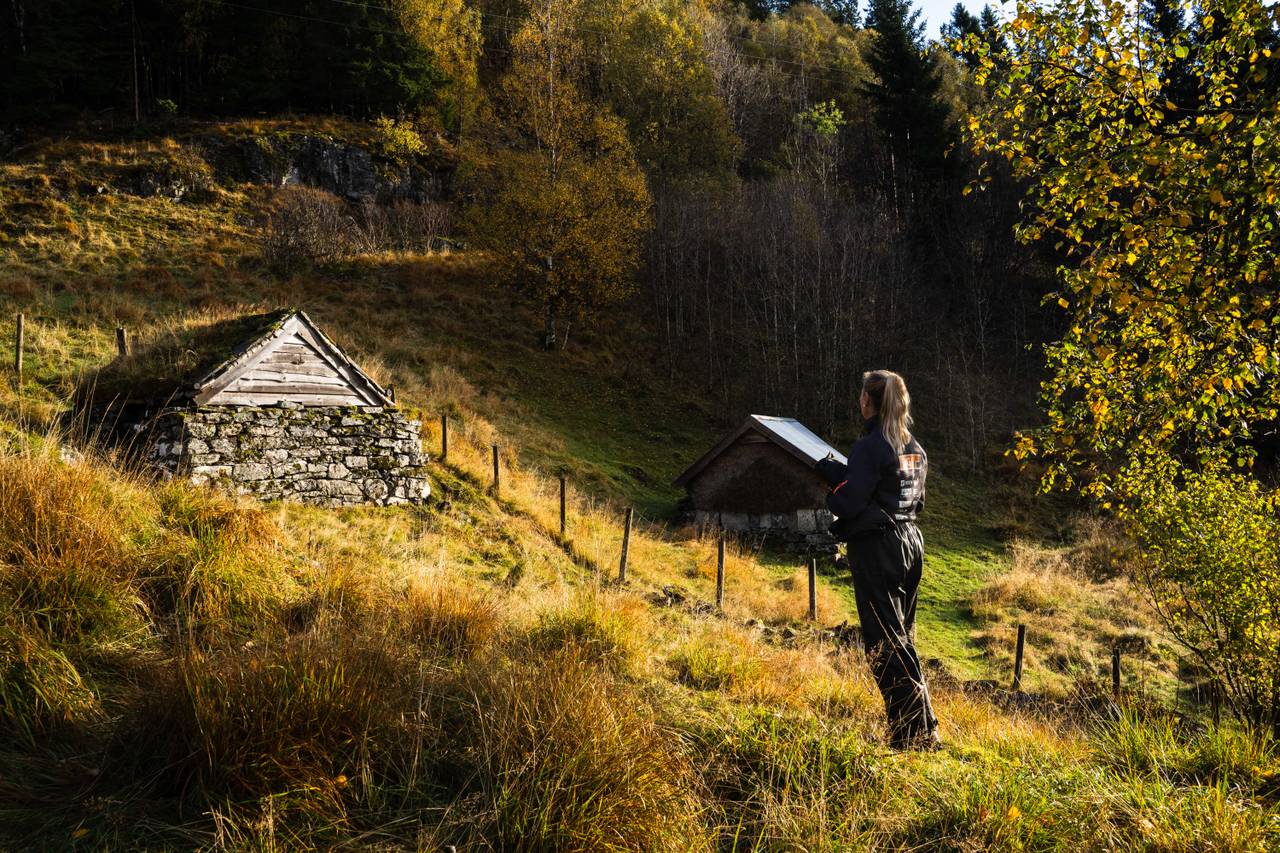 Naturbilder fra Havrå, nasjonalromantikk