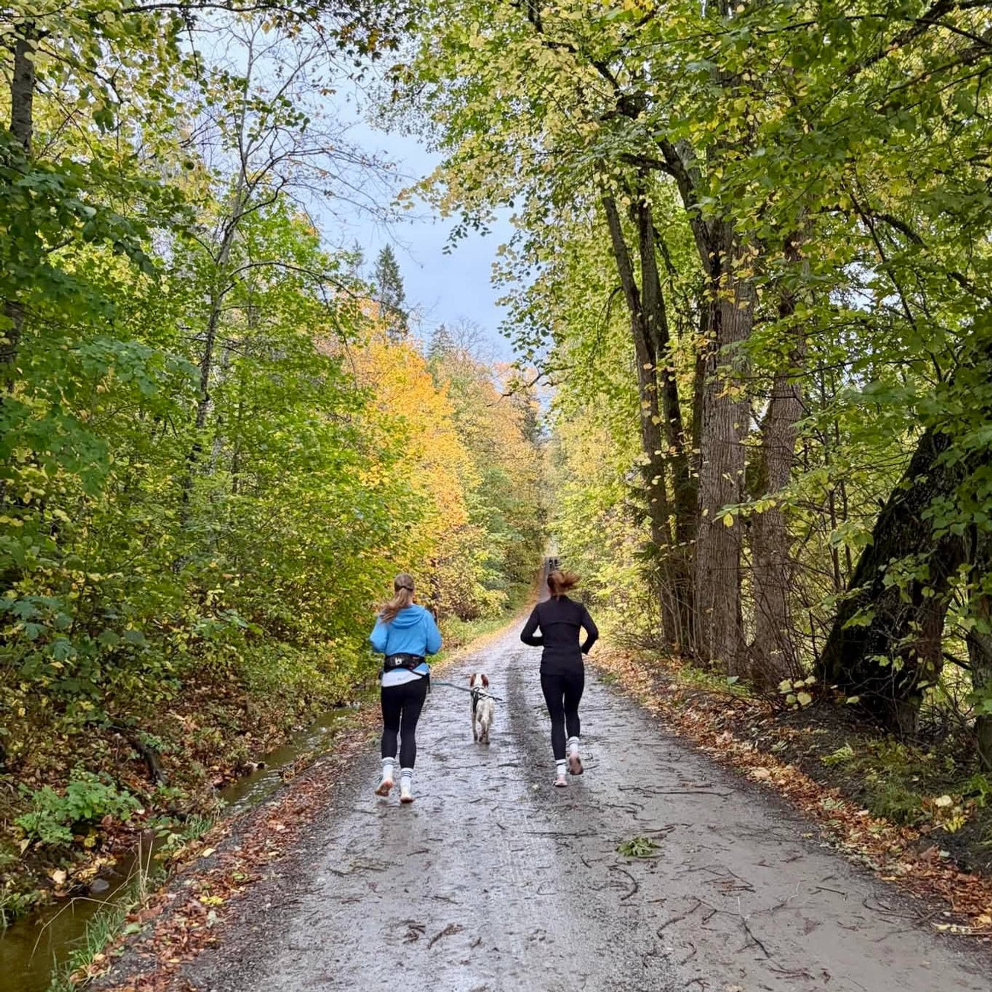 To joggere i høstfarger langs en grusveg.