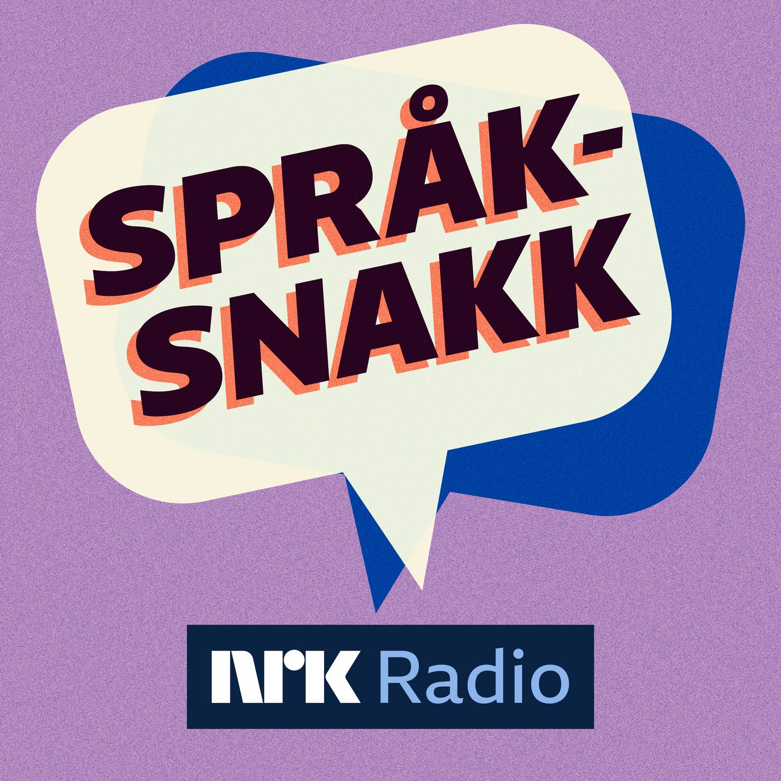 Språksnakk