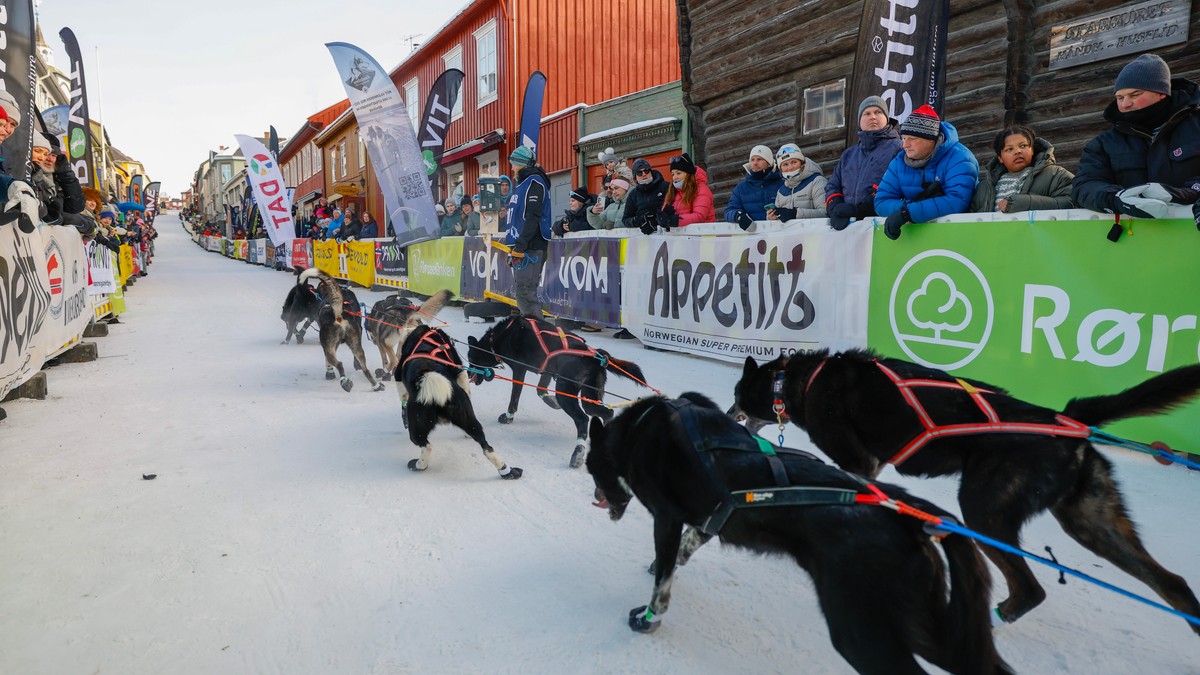 Hundekjører utestengt på livstid etter alvorlige brudd på dyrevelferd