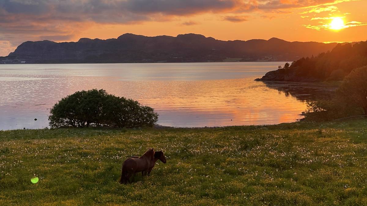 Hetebølge på gang i Trøndelag og Nordland - får også tropenetter