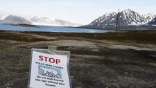 I Arktis blir både vintrene og somrene varmere. Men på Svalbard er det først og fremst vintrene som blir mildere. Det får ifølge forskerne store konsekvenser for plantelivet.