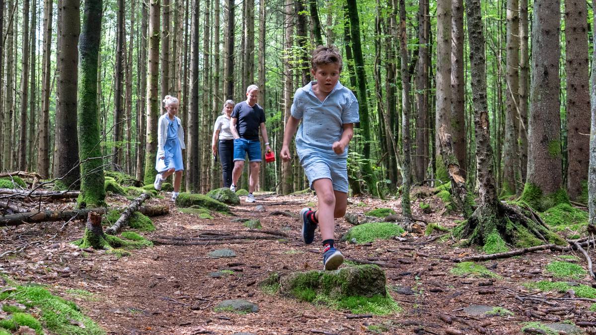 Familien flyttet for å være nær skogen – nå trues idyllen av 16.000 solcelle­paneler
