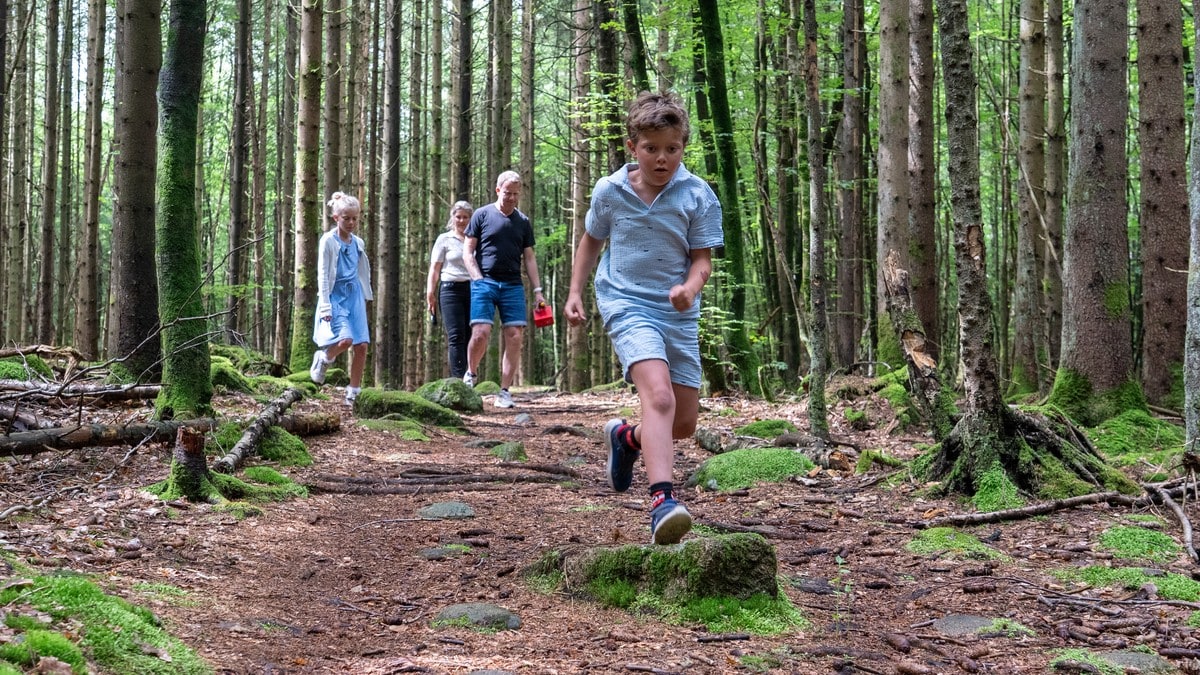 Familien flyttet for å være nær skogen – nå trues idyllen av 16.000 solcellepaneler