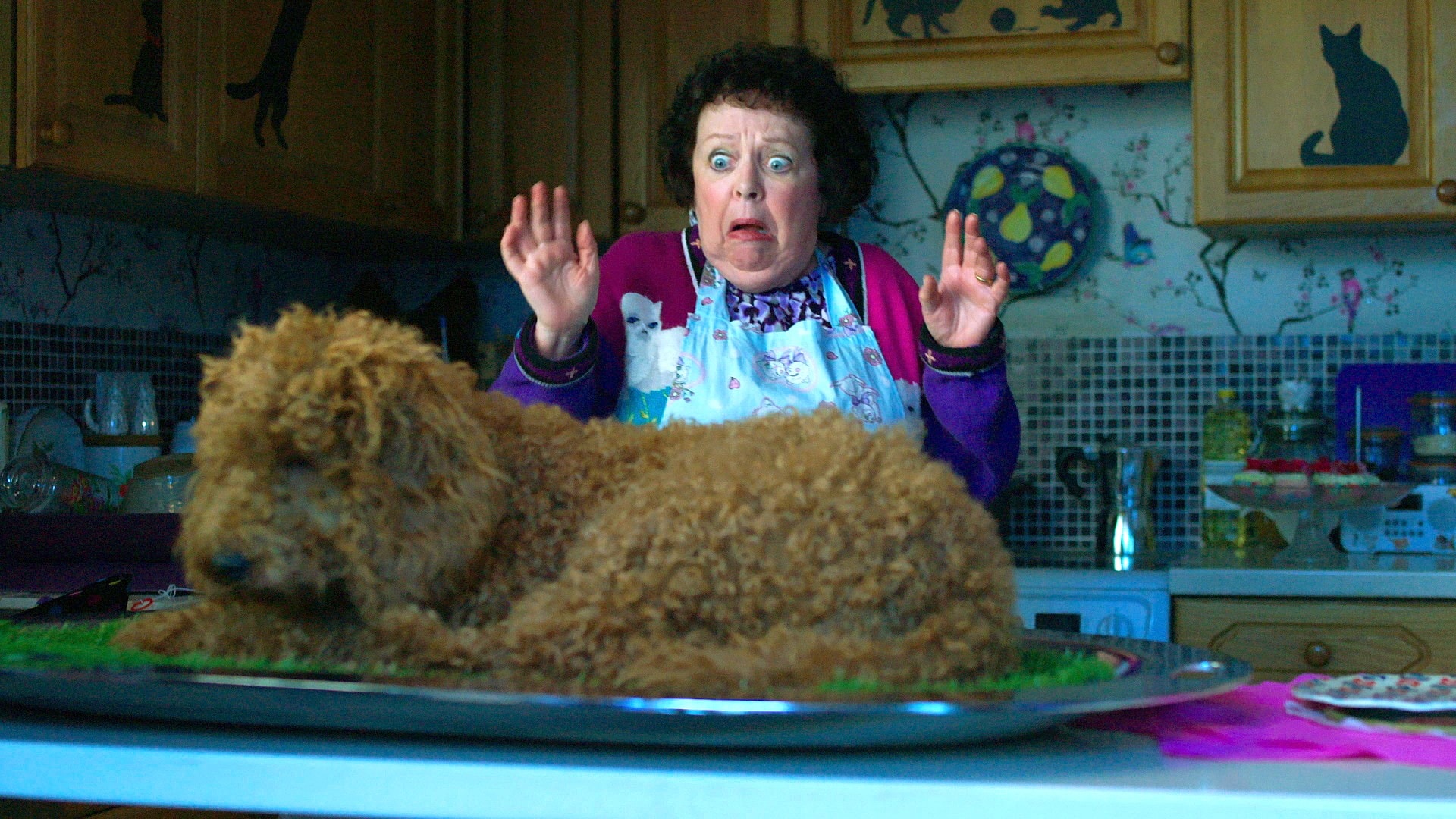 Vaffel - en superhund - NRK TV