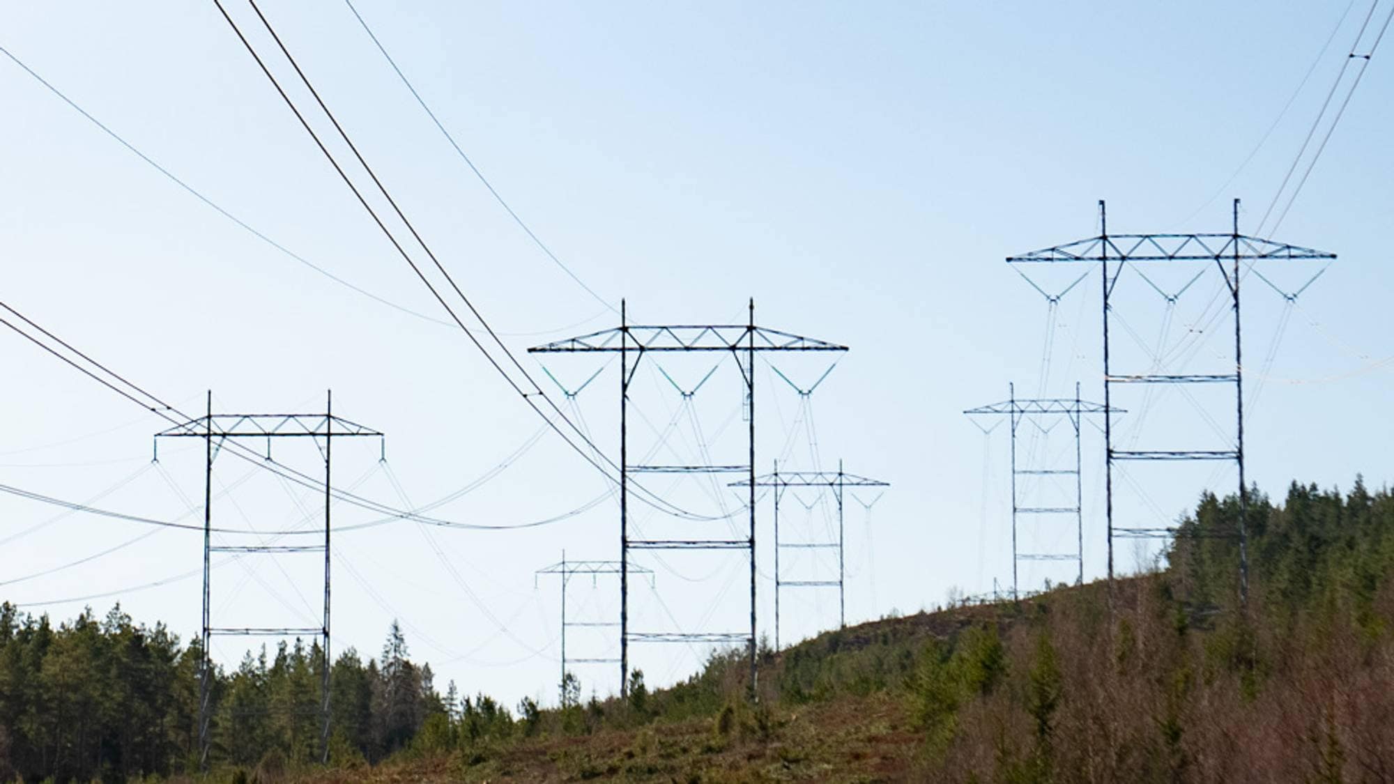 Høyspent strømmaster som går gjennom et skogslandskap. Blå himmel. 