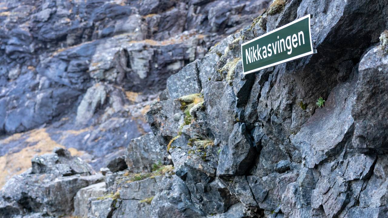 Nikkasvingen etter avduking 11.11.2020.