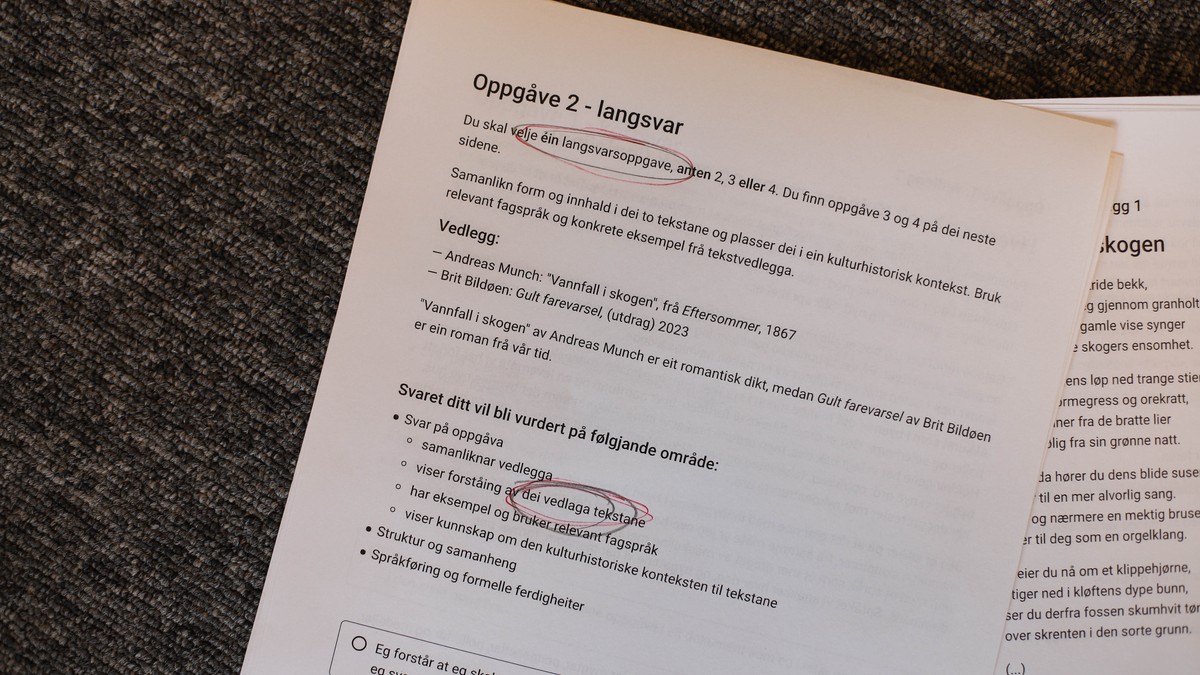 Norsklærarar lurer på om Udir ikkje bruker ordbok når dei lagar eksamen