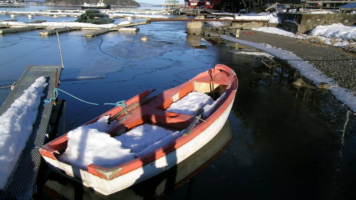 Søkte om vrakpant for båt 36 ganger - alle var falske