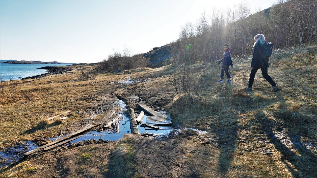 Noen har forsøkt å legge planker over myra, men det har ikke blitt vedlikeholdt.