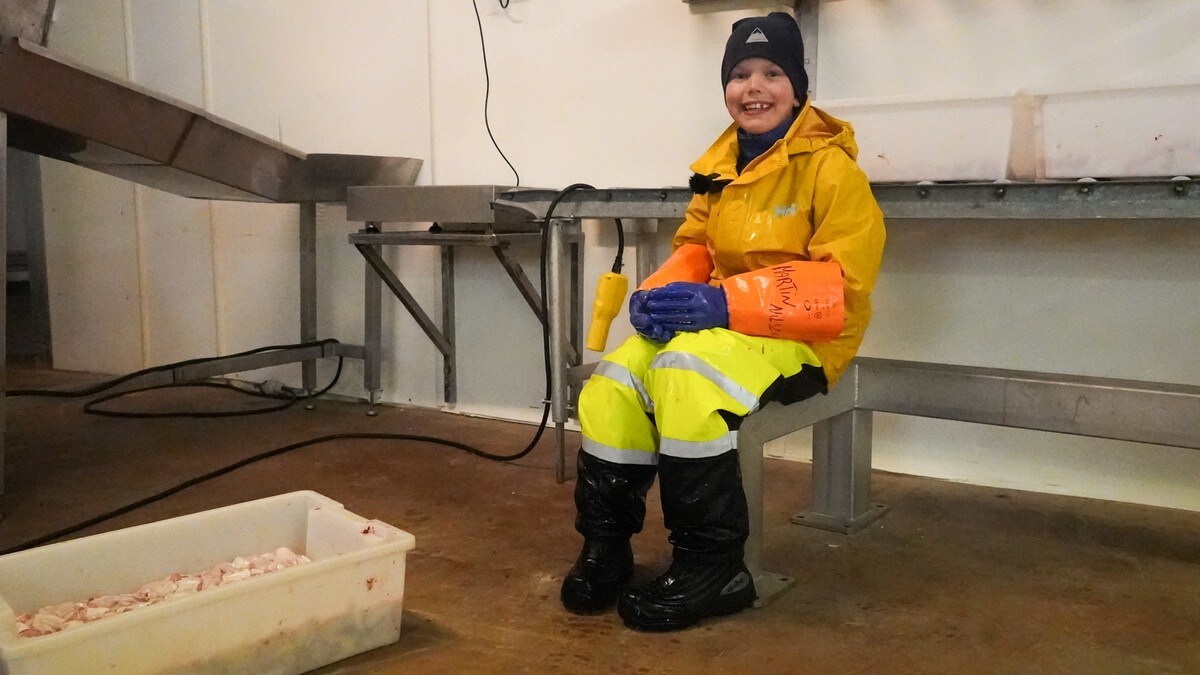 Skar torsketunger for 1,8 mill. kroner i Lofoten