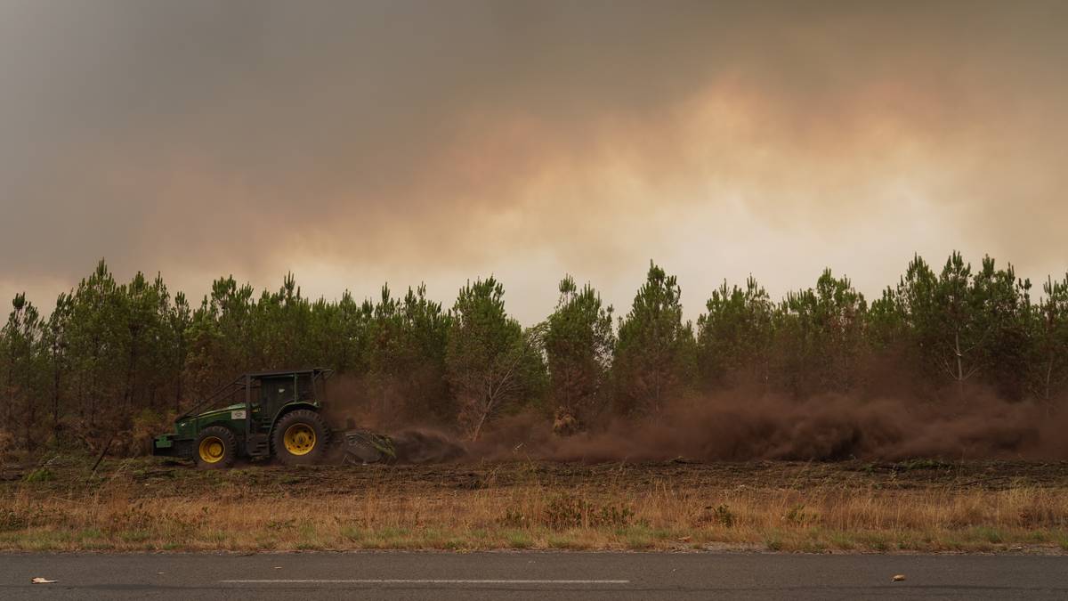 Además de combatir los incendios, los voluntarios acuden a Gironda para talar árboles y evitar la propagación de las llamas.