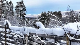 I`M DREAMING OF...: Sesongvarselet fra det Europeiske Værsenteret antyder en kaldere vinter enn normalt i Nord-Europa. Men det er mulig kulden holder seg unna til over nyttår.
