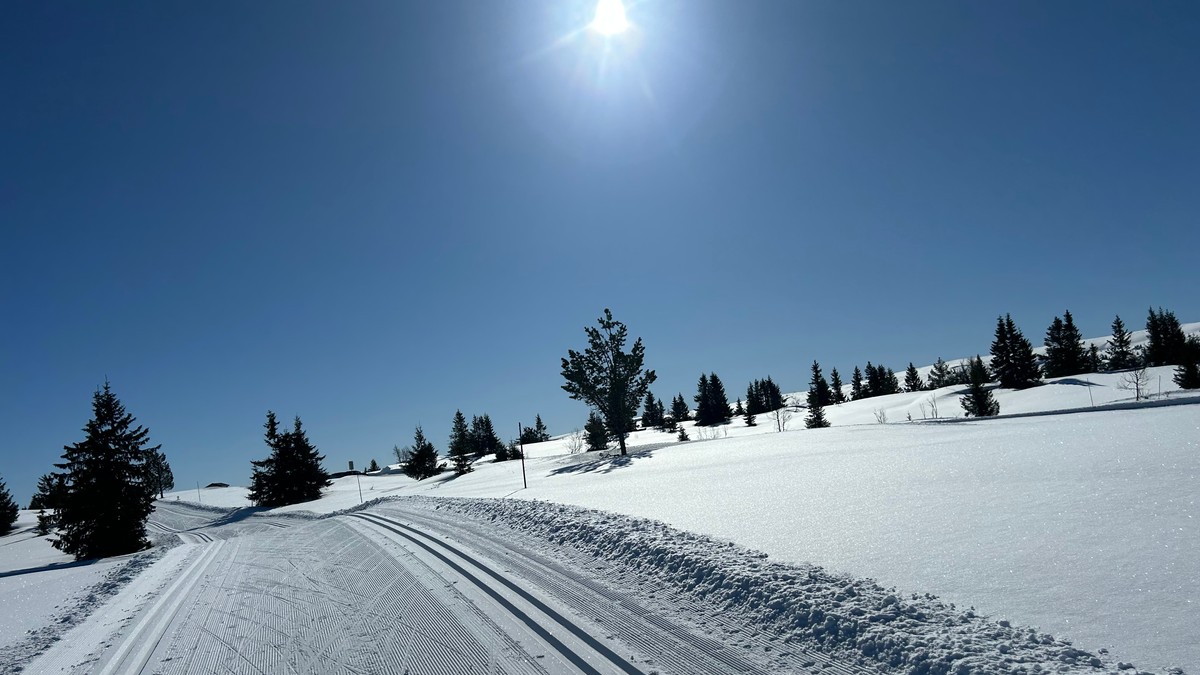 Nordmenn dropper utenlandsp&aring;ske