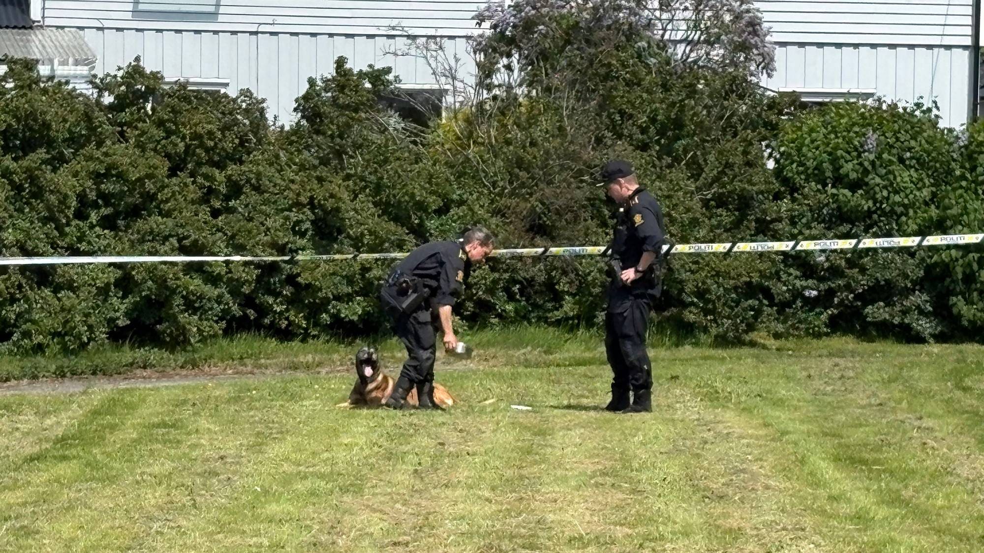 Politi og hund på plen