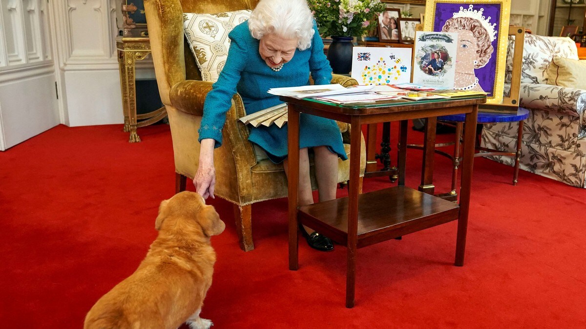 Dronning Elizabeths hunder har fått nye eiere