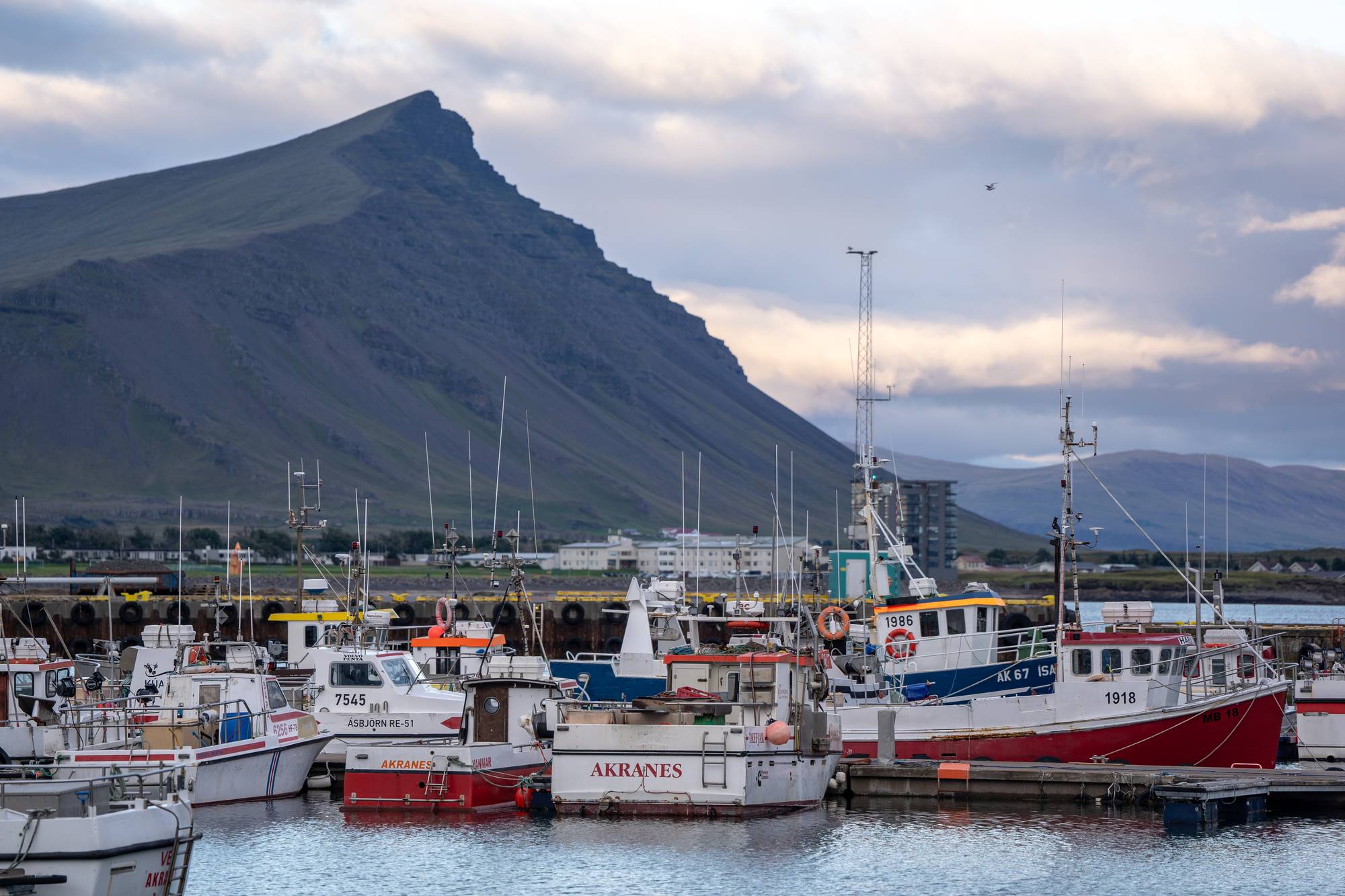 Fiskebåter i havn på Island
