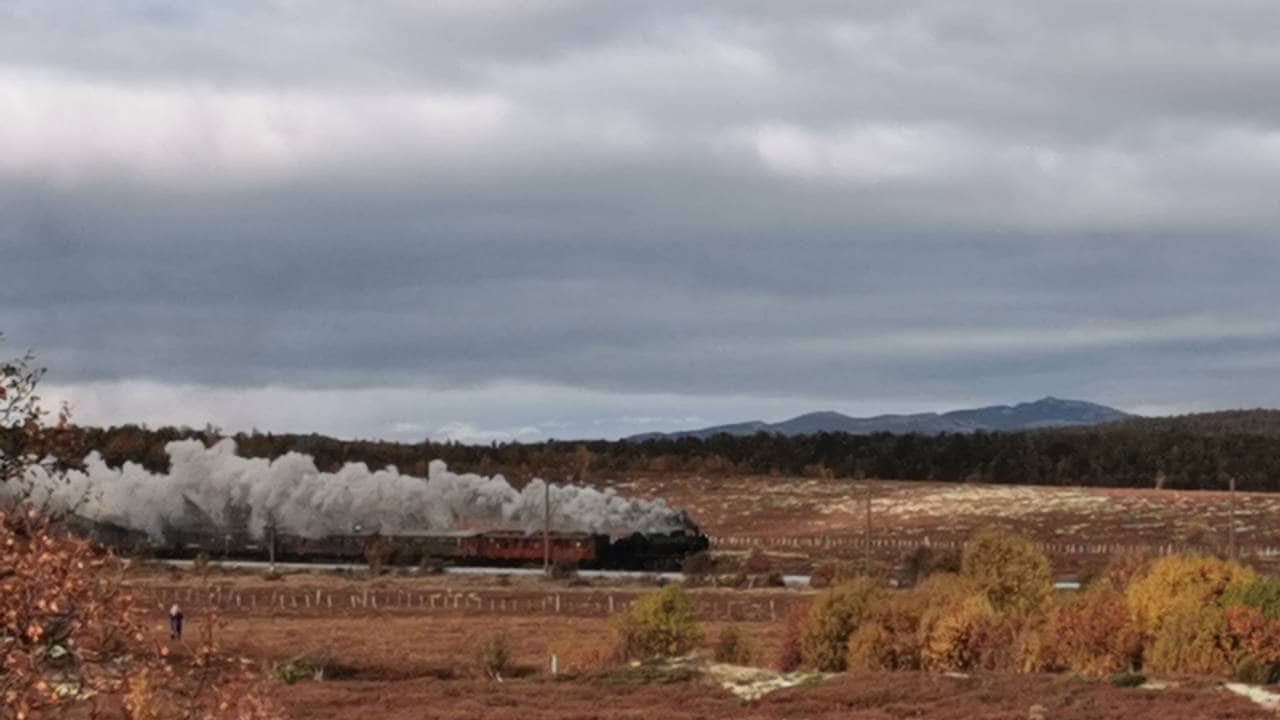 Damptog kjører i høstlandskap på Dovrebanen