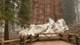 Foto: Handout / AFP Giant sequoias wrapped in foil to protect from US forest fires