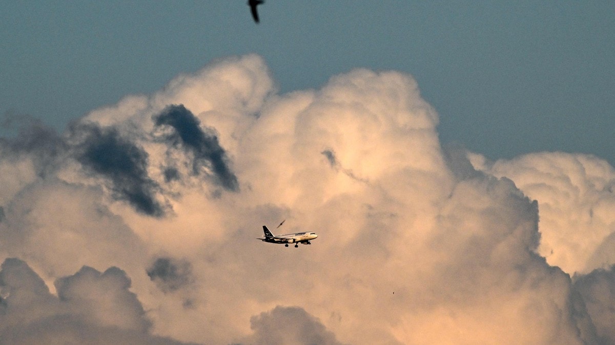 Stengte flyplassen i Vilnius etter dronealarm – var fugler