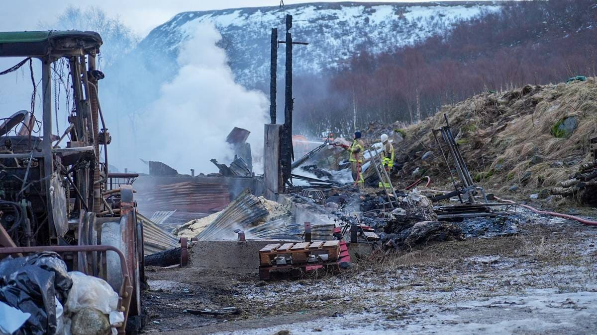 Brann i driftsbygning – frykter at 70–80 storfe har mista livet