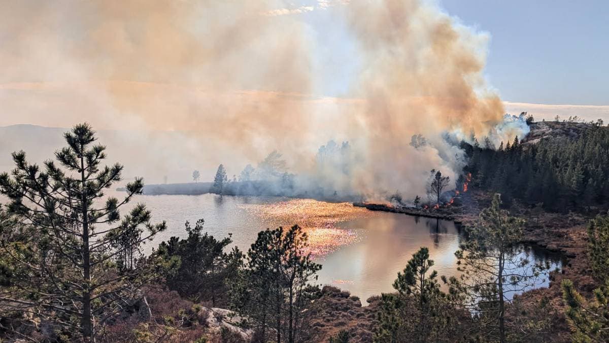 Skogbrann frå stormkjøkken i Fitjar trugar busetnad