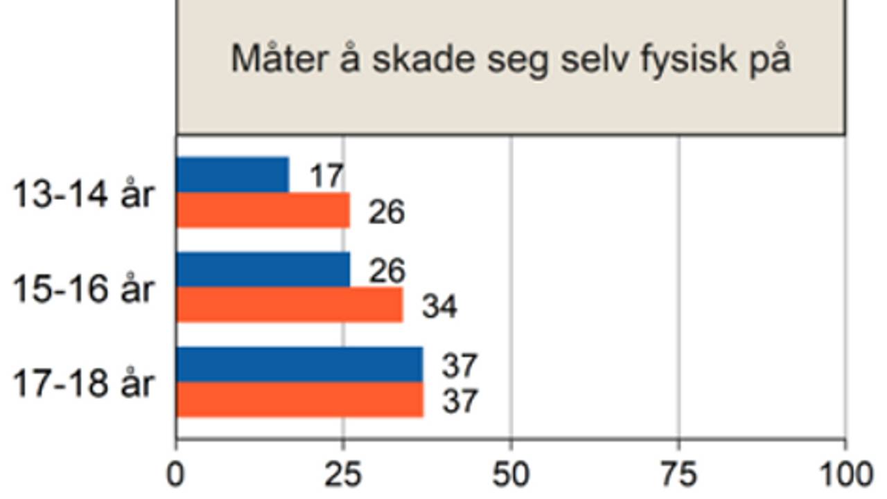 Barn og medium-undersøkinga