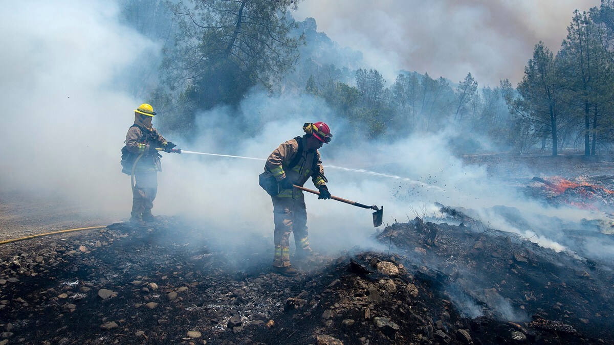 Skogbrann i USA - 1500 evakuert 