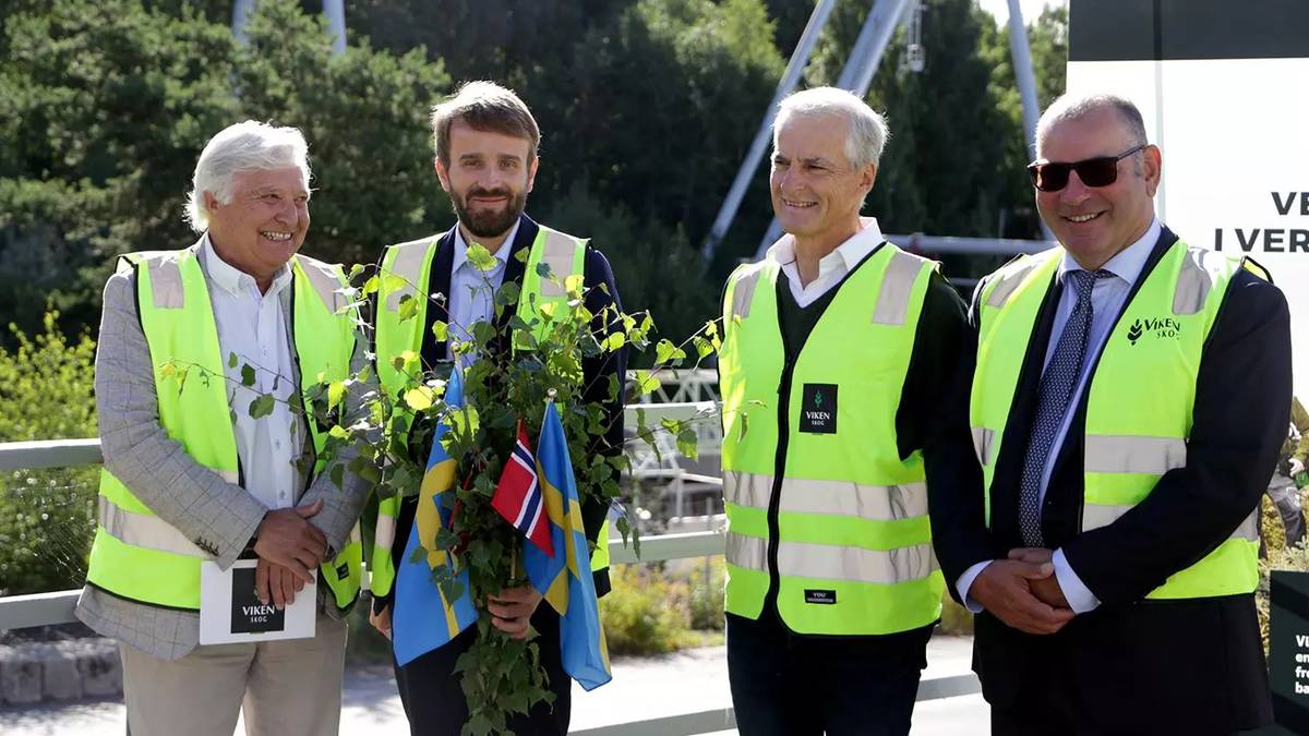 Ap-toppane lova fortgang for ny skogindustri – tre år etter står prosjektet i stampe