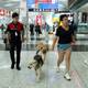 写真:ロイター 空港の犬