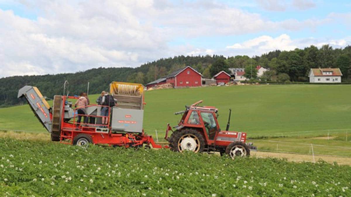 Farmers prepare for dry summer – NRK Sørlandet – Local news, TV and radio