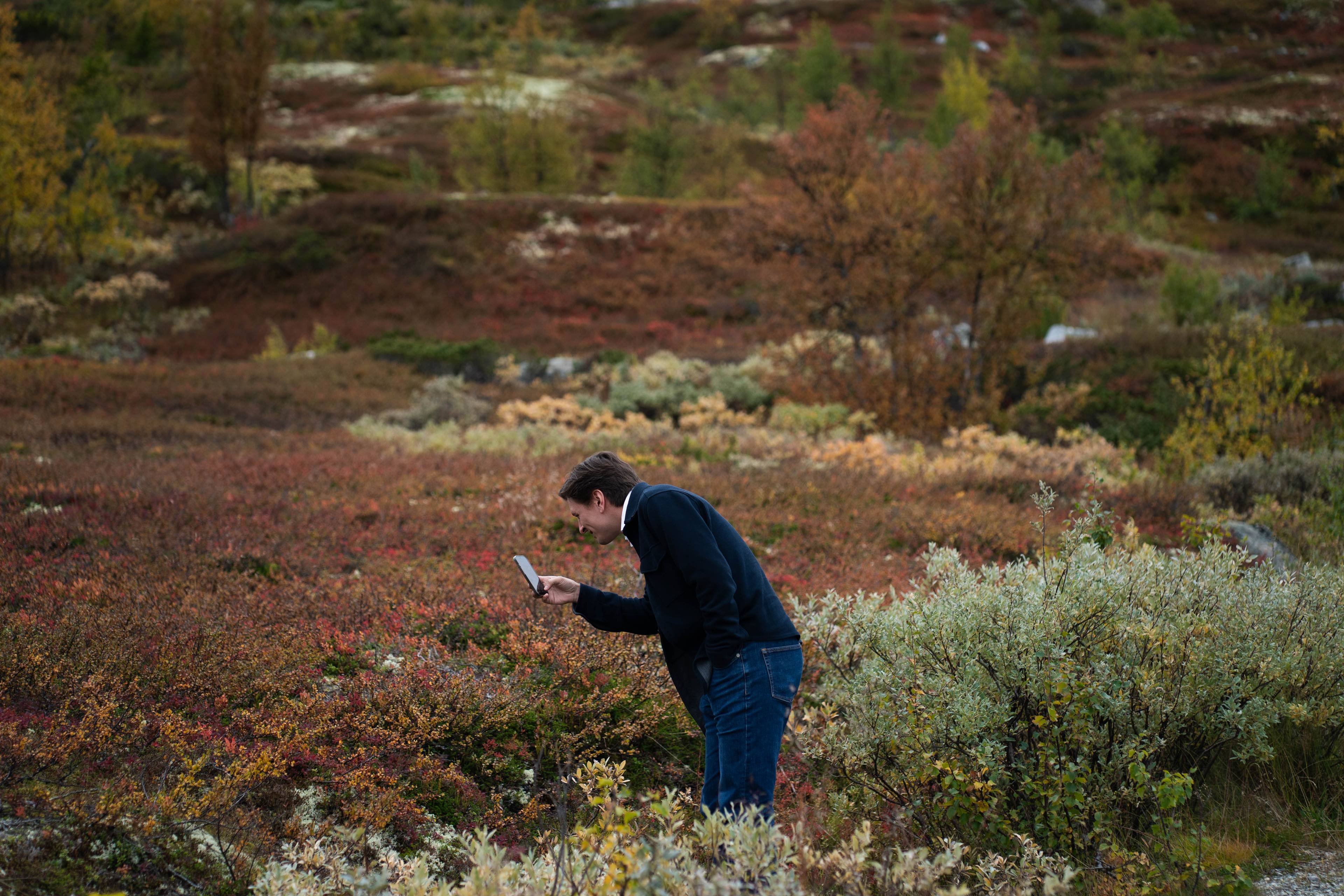 En mann står i et fjellandskap og ser ned på en smarttelefon. (Bildebeskrivelsen er laget av en KI-tjeneste)