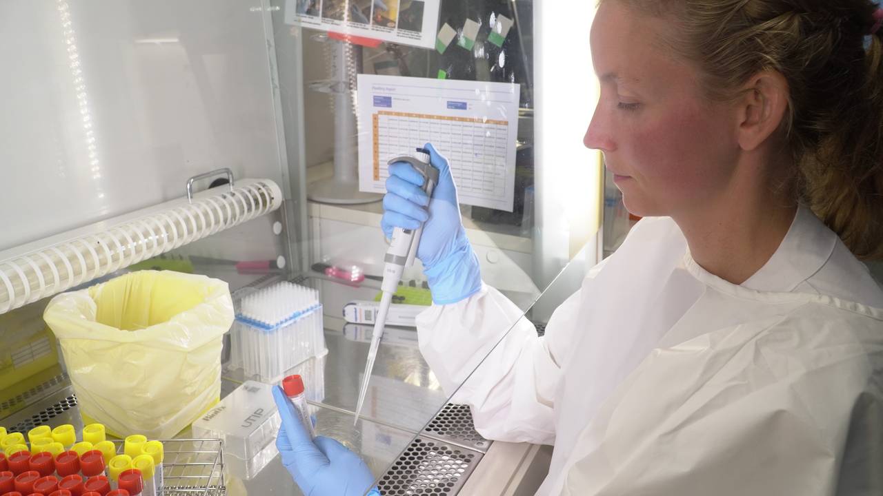 Ansatt ved mikrobiologisk laboratorium ved Nordlandsykehuset i Bodø fyller væske på prøveglass.