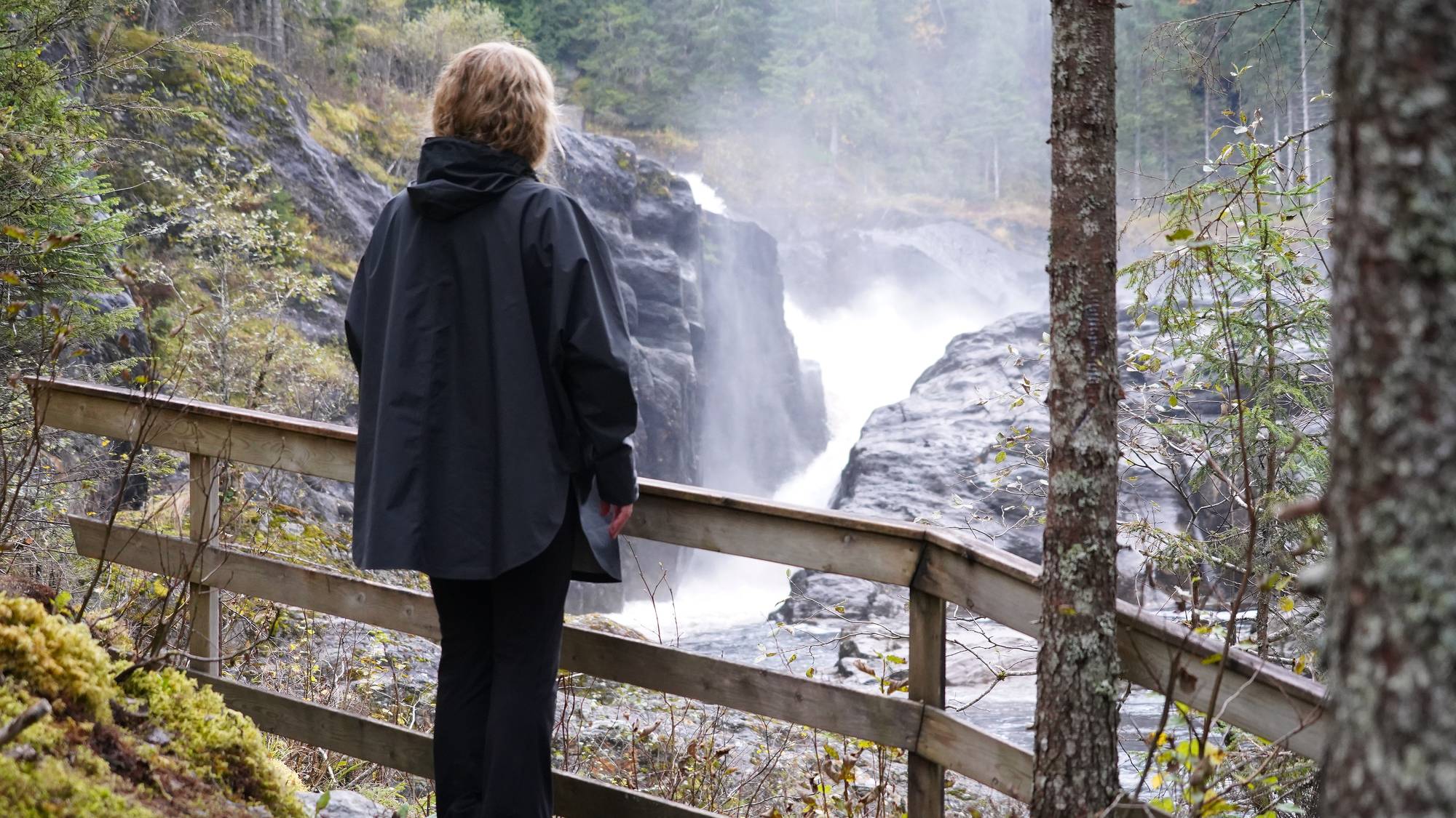 Leder i Naturvernforbundet i Verdal