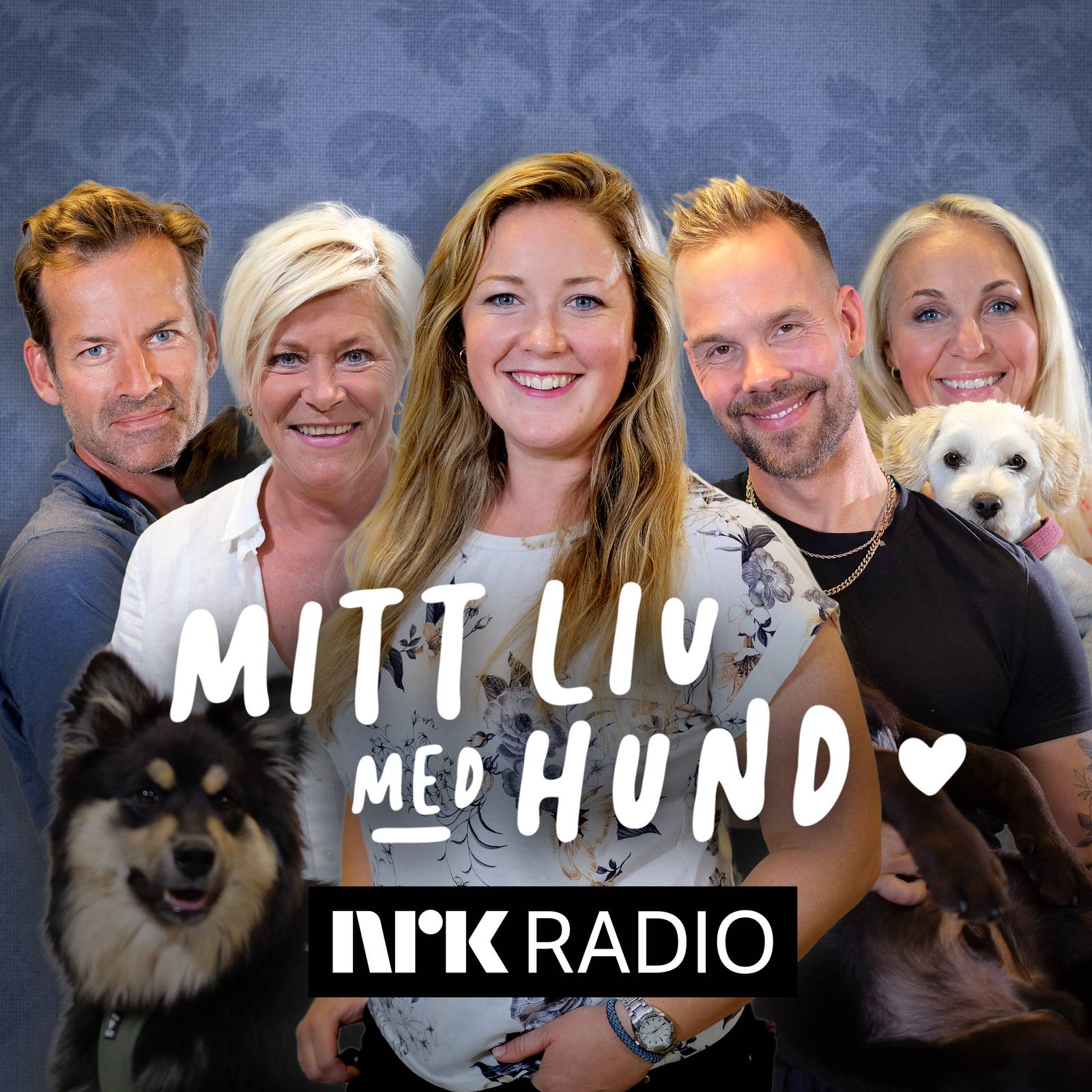 Mitt liv med hund