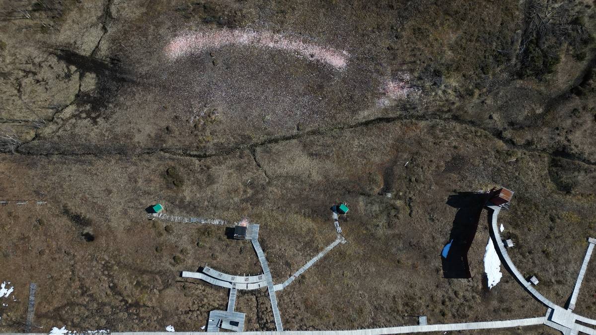 Ett av Nord-Norges mest trafikkerte turområde er full av gift: – Ikke trygt for barn