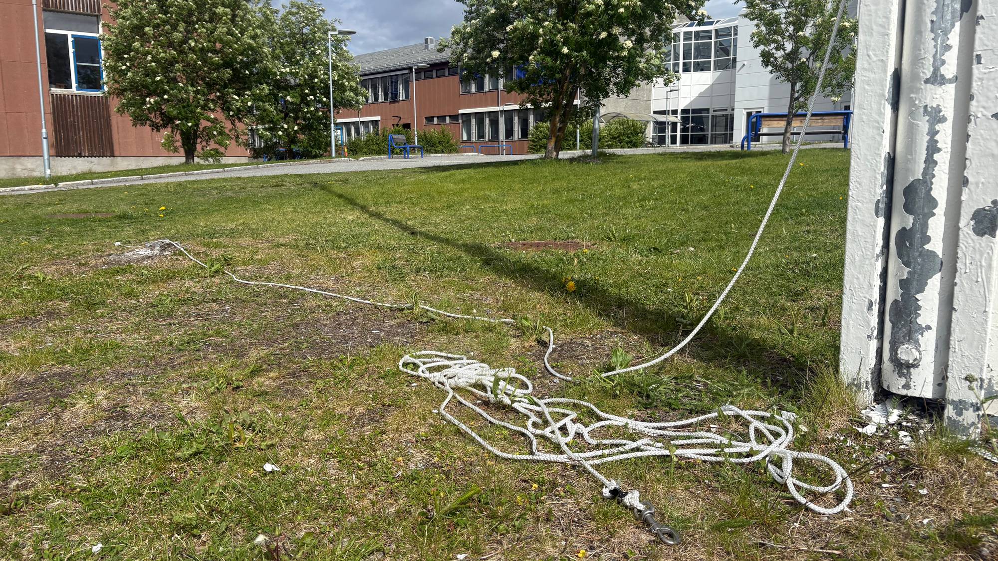 flaggline kuttet
