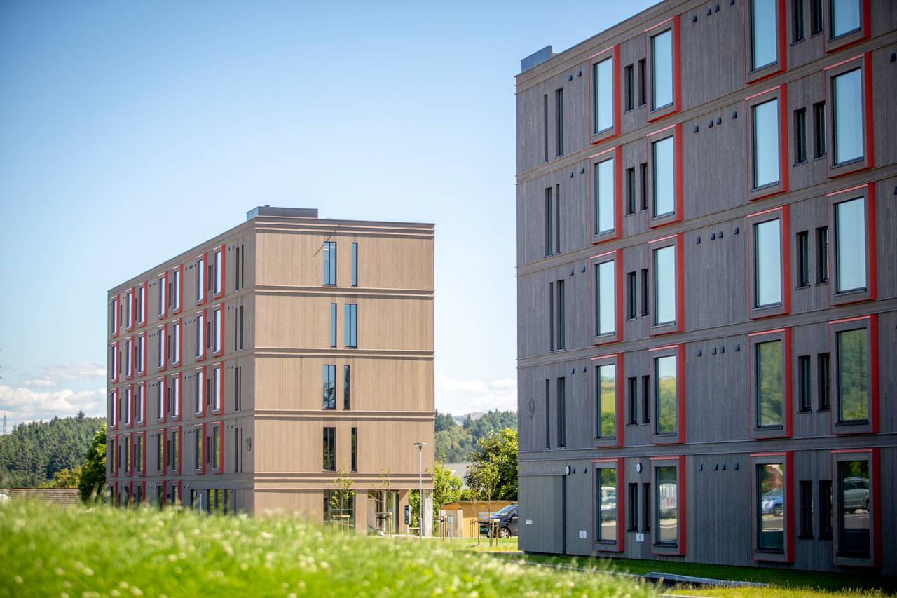 Nuovi alloggi per studenti nel campus di Stavanger.  I blocchi hanno assi di legno e prendono il sole.  In primo piano c'è l'erba.