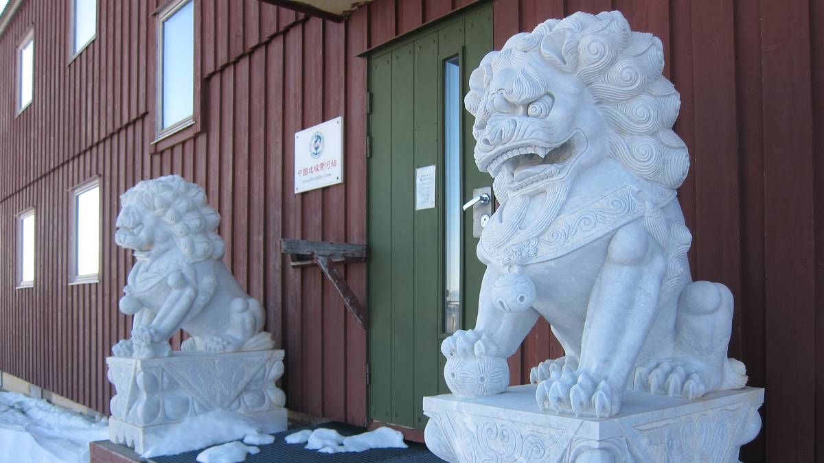 Nå må disse kinesiske løvene bort fra Svalbard