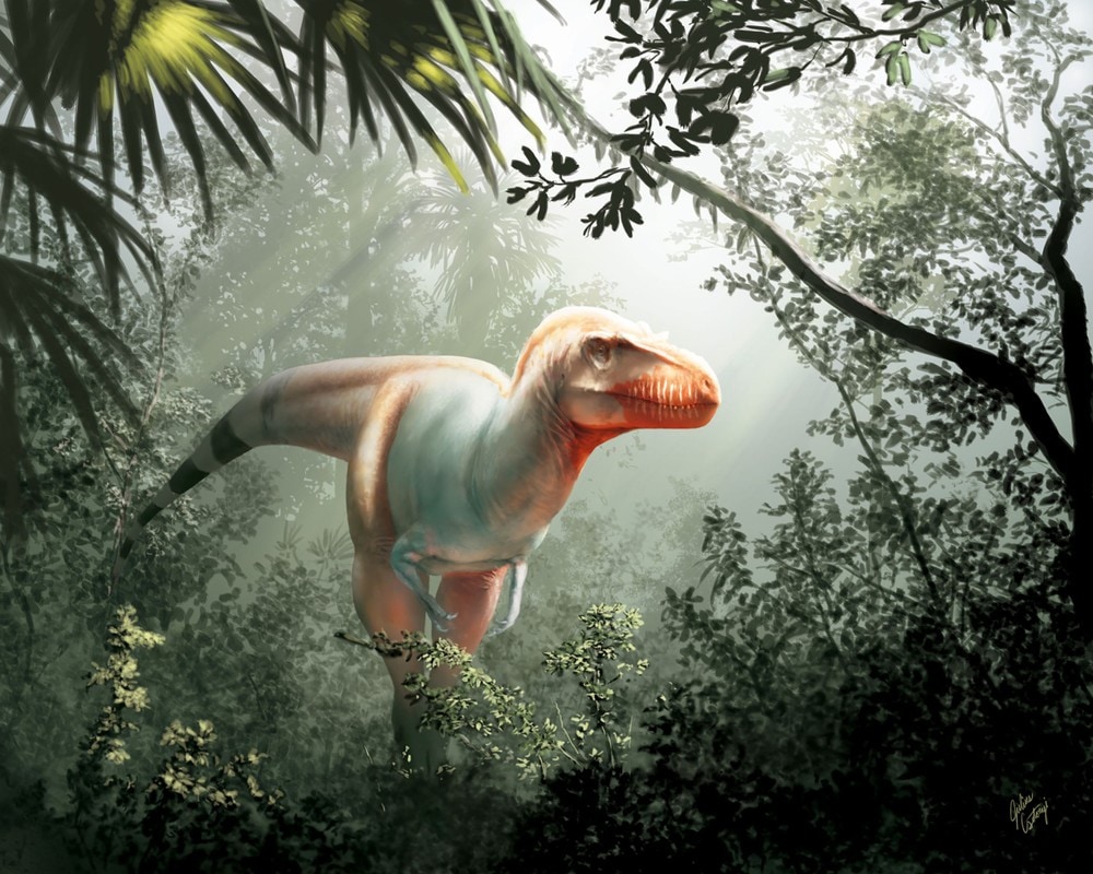 Har oppdaga «bestefaren» til Tyrannosaurus Rex