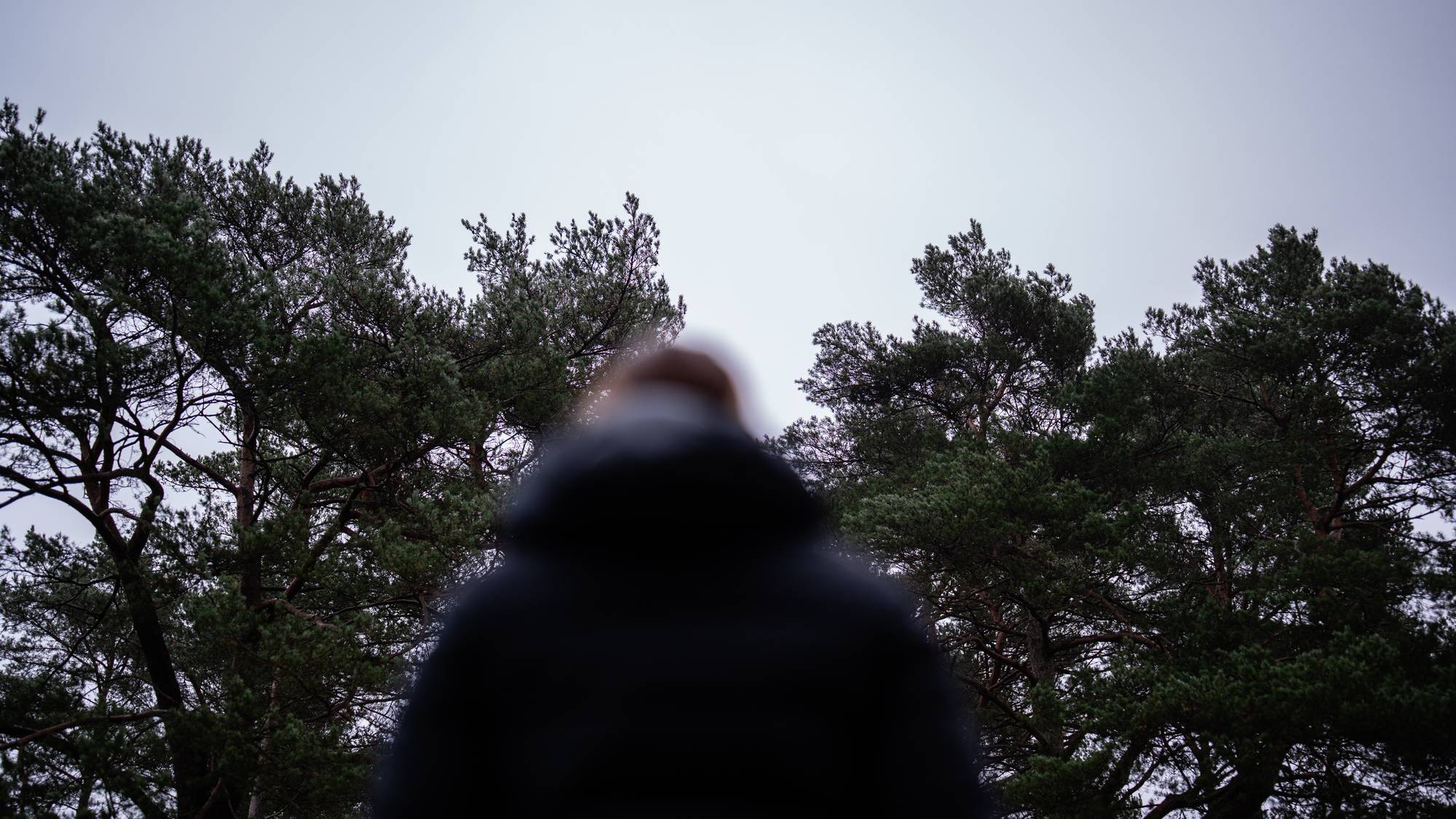På bildet ser man en persons rygg med trær bak.