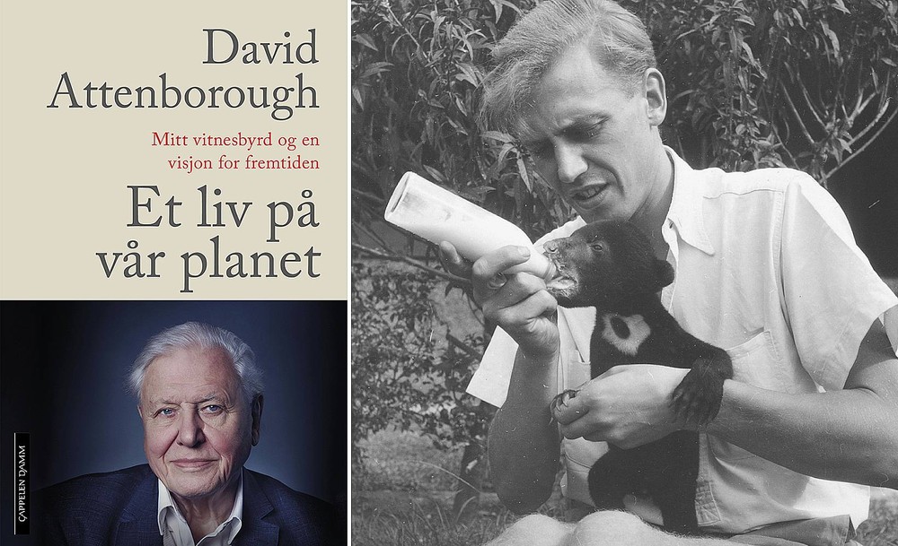 «Attenborough med storslagent manifest til verden»