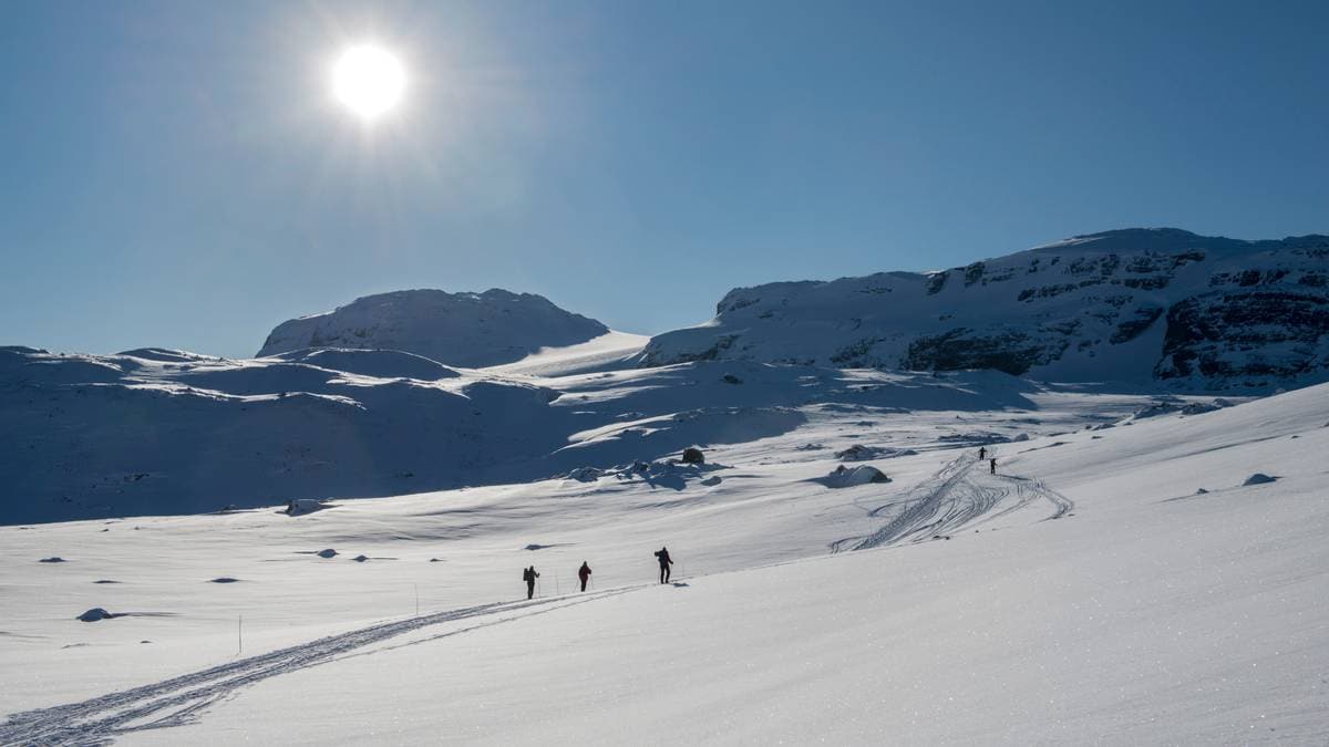 Logikk på Hardangervidda