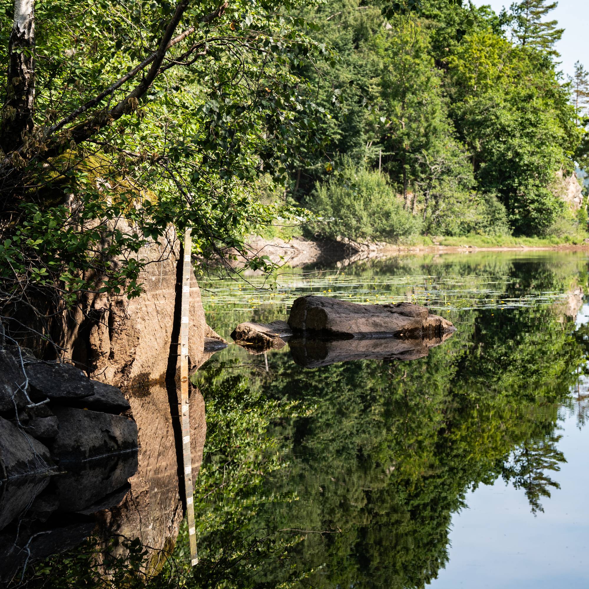 Stille vann omgitt av skog og klipper med tydelig speiling i overflaten. (Bildebeskrivelsen er laget av en KI-tjeneste)