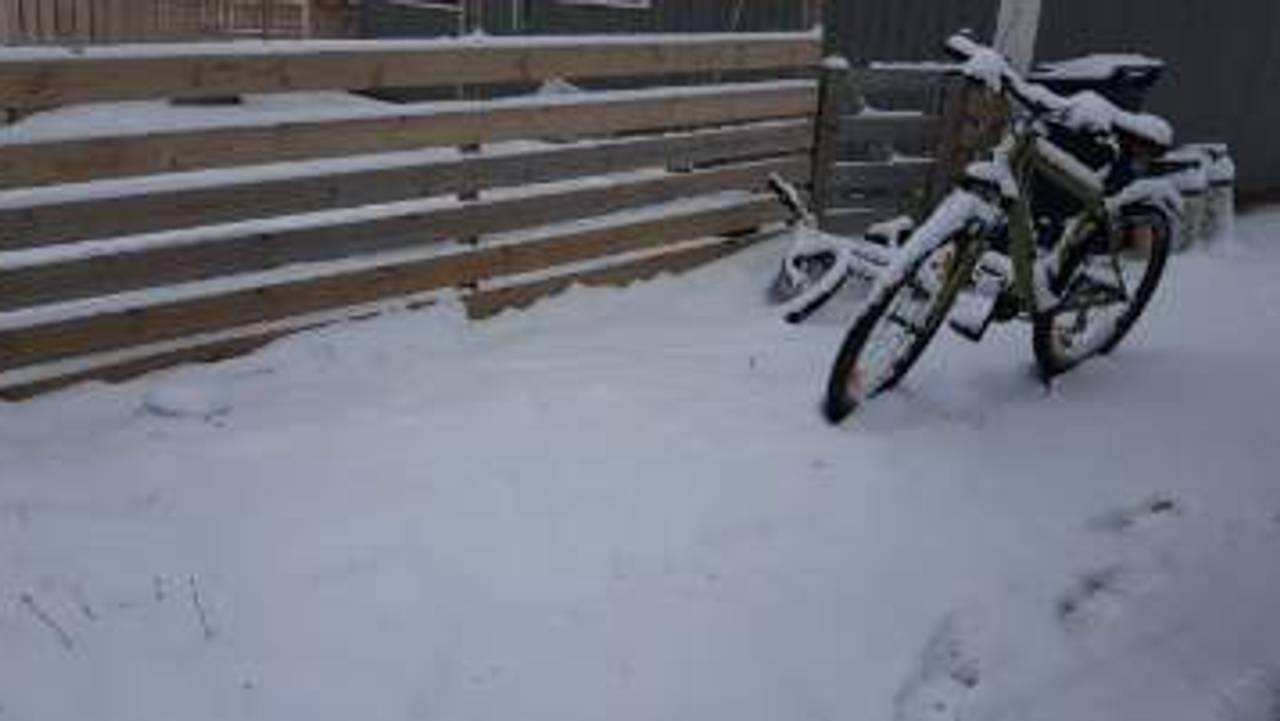 Vinter igjen, Skogbygda Vågå
