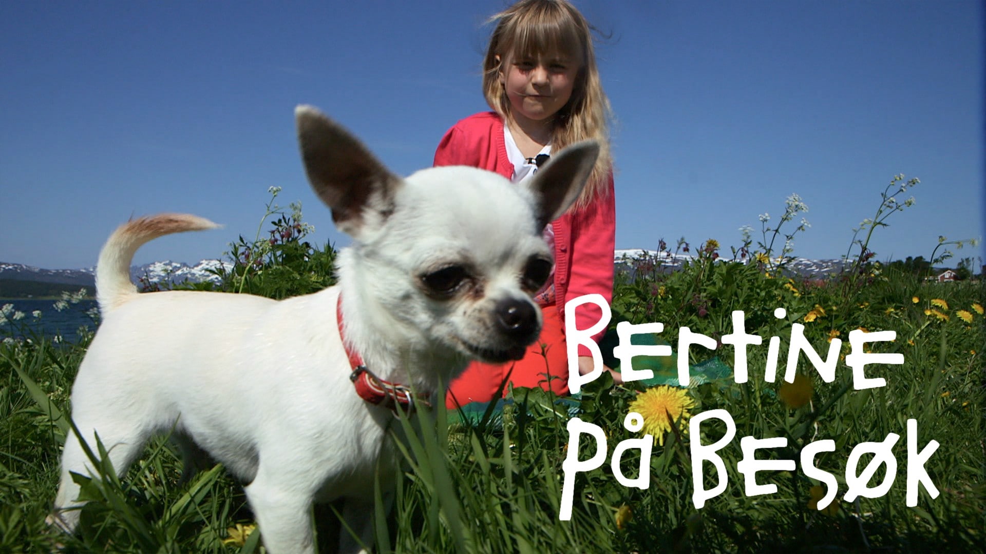 Bertine på besøk - NRK TV