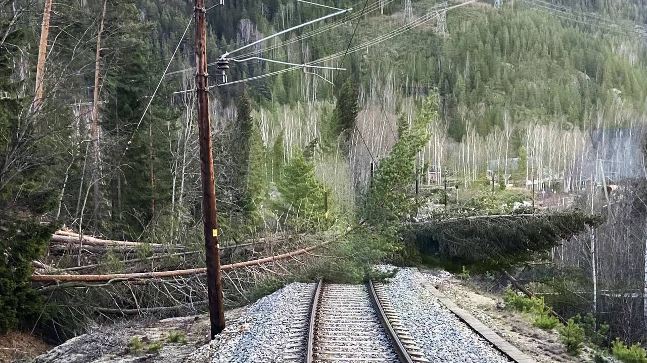 Tre over Bergensbanen i Hallingdal